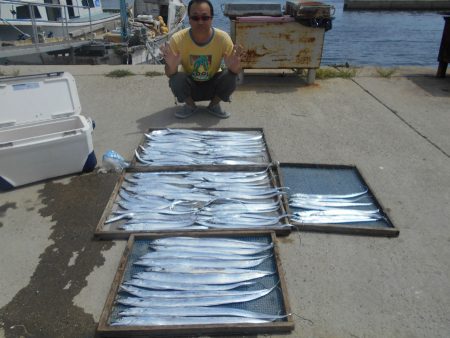 大進丸(愛知) 釣果