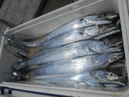 大進丸(愛知) 釣果