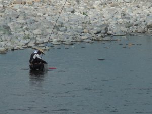 会津大川（会津非出資漁業協同組合） 釣果