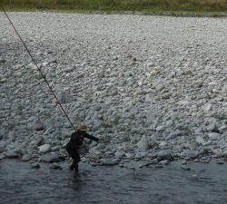 会津大川（会津非出資漁業協同組合） 釣果