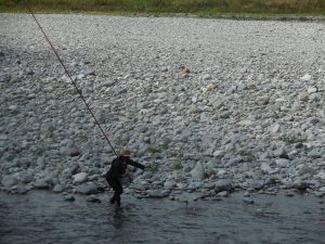 会津大川（会津非出資漁業協同組合） 釣果