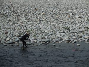 会津大川（会津非出資漁業協同組合） 釣果