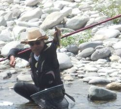 会津大川（会津非出資漁業協同組合） 釣果