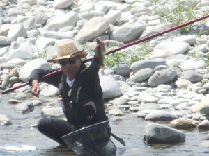 会津大川（会津非出資漁業協同組合） 釣果