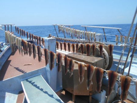 大進丸(愛知) 釣果