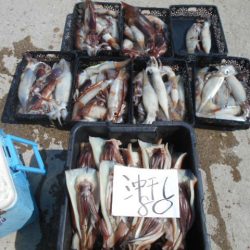 大進丸(愛知) 釣果