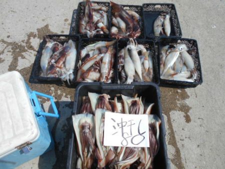 大進丸(愛知) 釣果