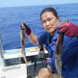 大進丸(愛知) 釣果