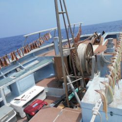 大進丸(愛知) 釣果