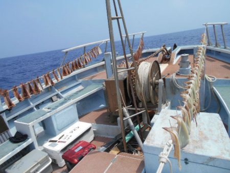 大進丸(愛知) 釣果