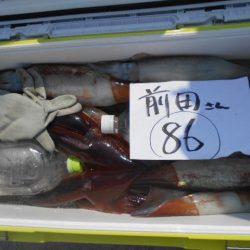 大進丸(愛知) 釣果