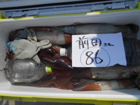 大進丸(愛知) 釣果