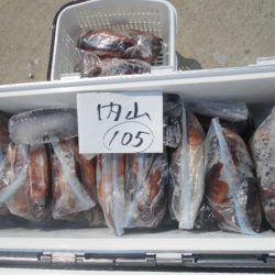 大進丸(愛知) 釣果