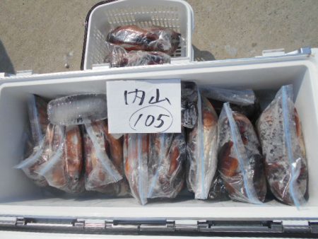 大進丸(愛知) 釣果