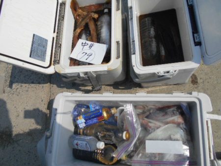 大進丸(愛知) 釣果