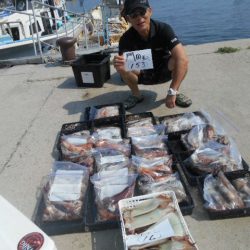 大進丸(愛知) 釣果