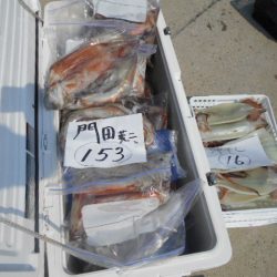 大進丸(愛知) 釣果