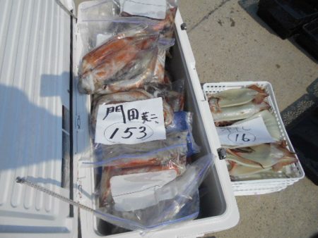 大進丸(愛知) 釣果