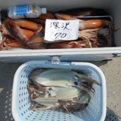 大進丸(愛知) 釣果