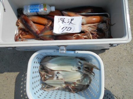 大進丸(愛知) 釣果