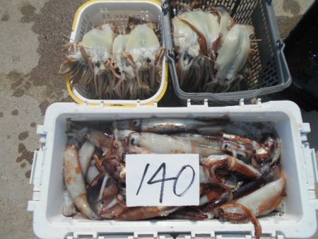 大進丸(愛知) 釣果