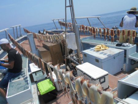 大進丸(愛知) 釣果