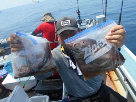 大進丸(愛知) 釣果