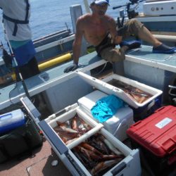 大進丸(愛知) 釣果