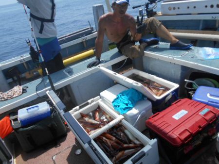 大進丸(愛知) 釣果