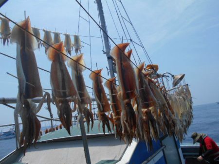 大進丸(愛知) 釣果