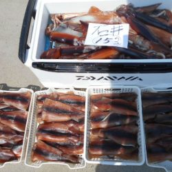 大進丸(愛知) 釣果