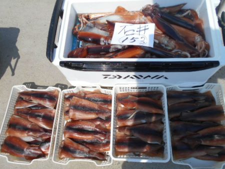 大進丸(愛知) 釣果