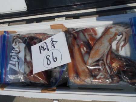 大進丸(愛知) 釣果