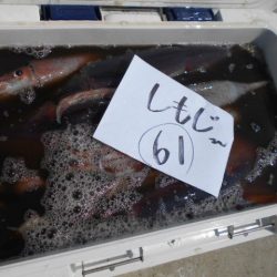 大進丸(愛知) 釣果