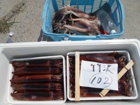 大進丸(愛知) 釣果