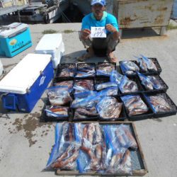 大進丸(愛知) 釣果