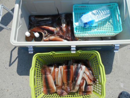 大進丸(愛知) 釣果