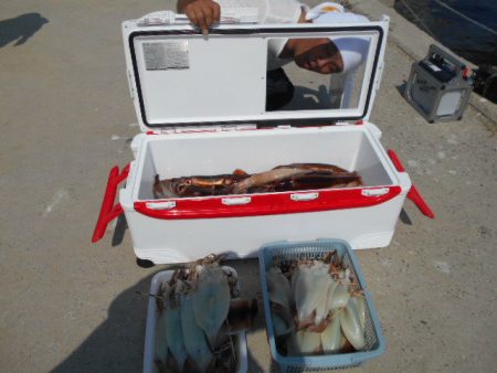 大進丸(愛知) 釣果