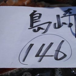 大進丸(愛知) 釣果