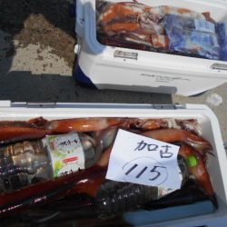 大進丸(愛知) 釣果