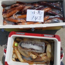 大進丸(愛知) 釣果