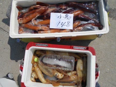大進丸(愛知) 釣果