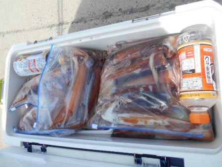 大進丸（愛知） 釣果