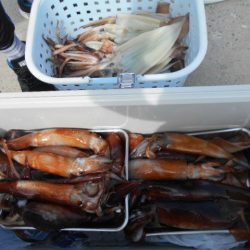 大進丸（愛知） 釣果