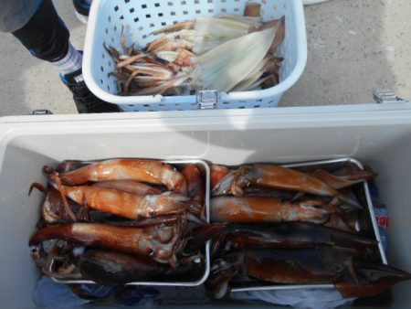 大進丸（愛知） 釣果