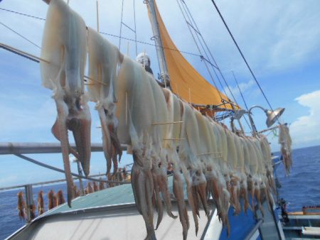 大進丸(愛知) 釣果