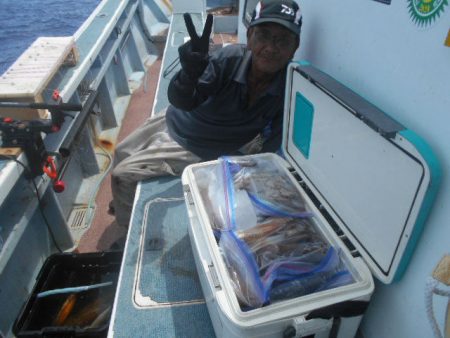 大進丸(愛知) 釣果