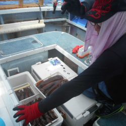 大進丸(愛知) 釣果