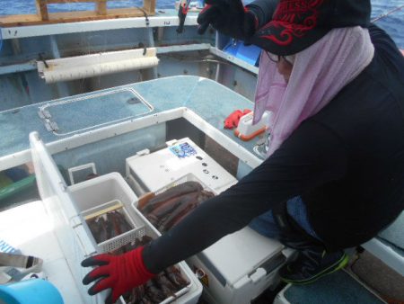 大進丸(愛知) 釣果