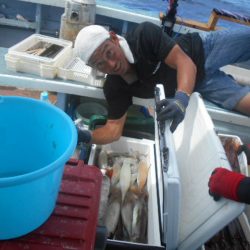 大進丸(愛知) 釣果